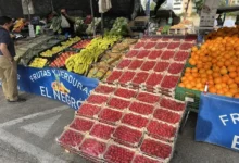 Puesto de frutas con cajas de fresas, plátanos y cítricos en el Mercado Ecológico de Rubí