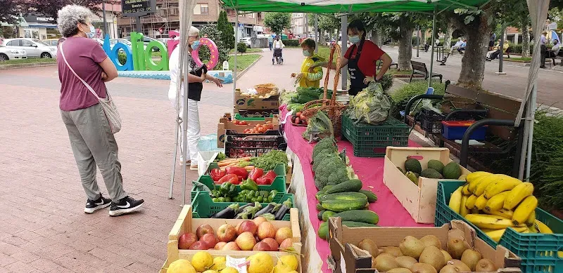 Descubre el mercadillo de Camargo. Productos certificados por el Consejo Regulador de Agricultura Ecológica de Cantabria Imagen del mercadillo Mercadillo Ecológico de Maliaño en Camargo
