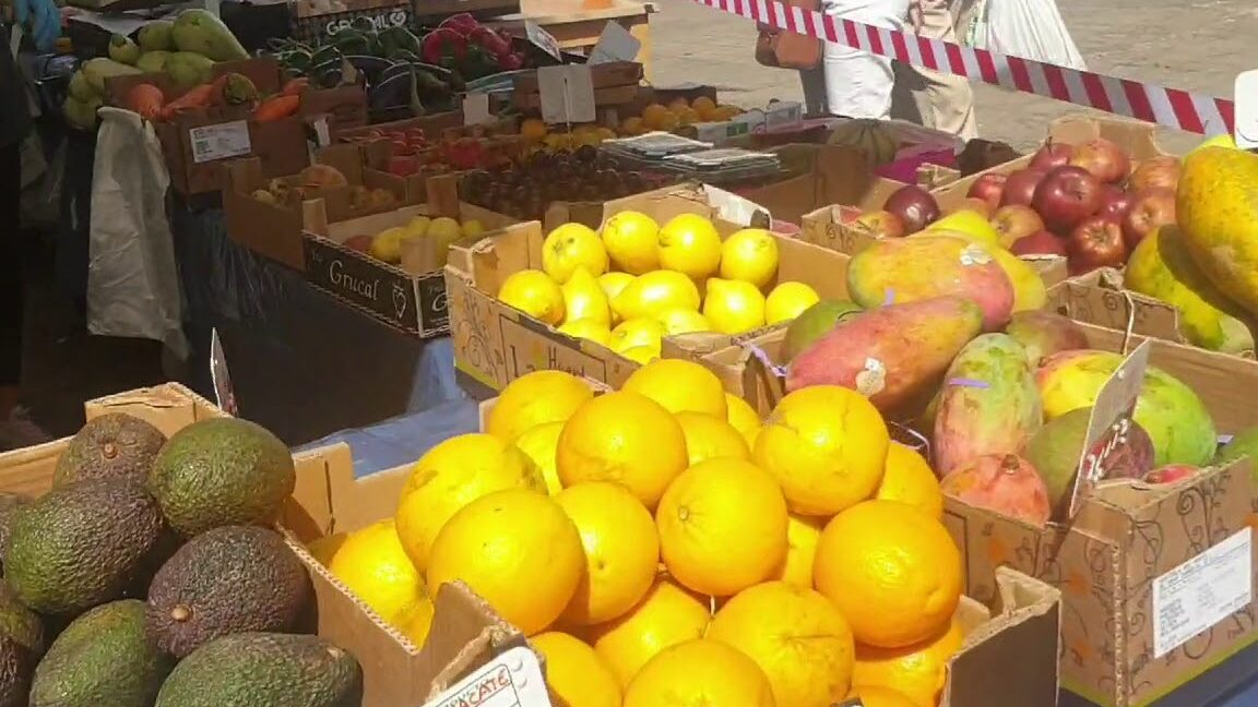 Puesto de frutas con naranjas, aguacates y mangos en el Mercadillo Artesanal de Arrecife