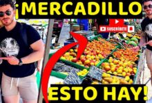Visitante frente a puestos de frutas en el Mercadillo de Coleccionismo de Alicante