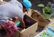 Niño rebuscando en una caja de juguetes en un puesto del Mercadillo de Sant Jordi