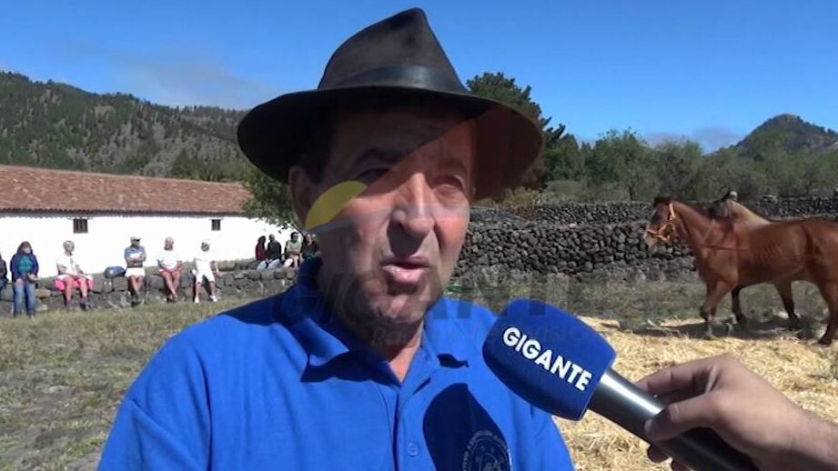 Agricultor con sombrero entrevistado en el Mercadillo del Agricultor de Santiago del Teide, micrófono GIGANTE y caballo al fondo.