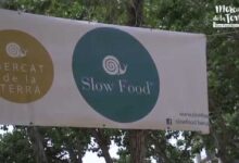 Banner del Mercat de la Terra de Roca con el logo de Slow Food colgado entre árboles al aire libre